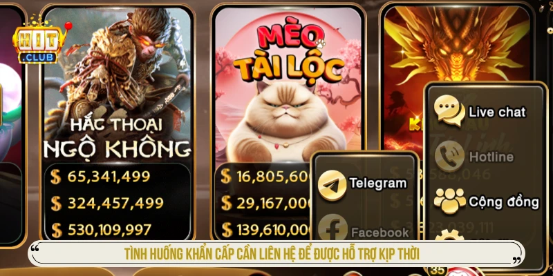 Tình huống khẩn cấp cần liên hệ để được hỗ trợ kịp thời